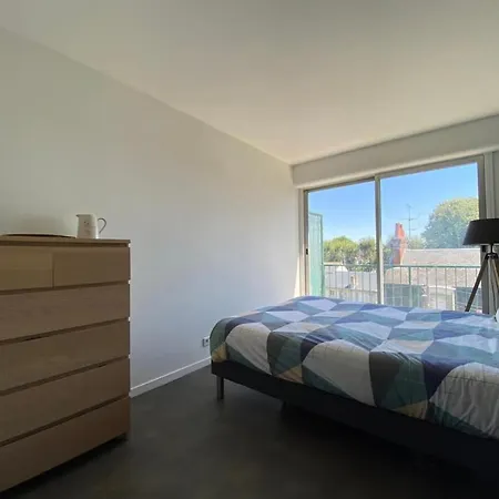 Vue Sur Les Toits De Appartement Tours