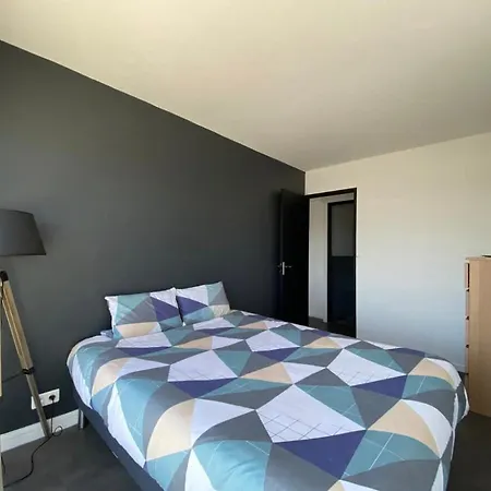 Vue Sur Les Toits De Appartement