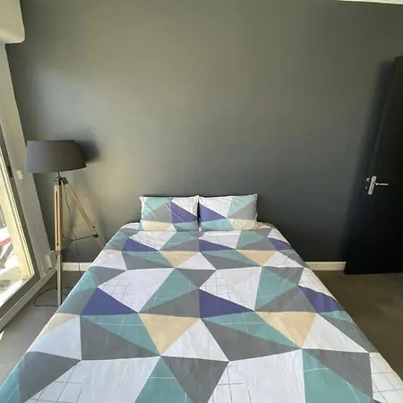 Vue Sur Les Toits De Appartement Tours